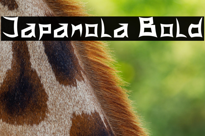 Japanola Bold Example 2