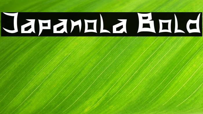Japanola Bold Example 3