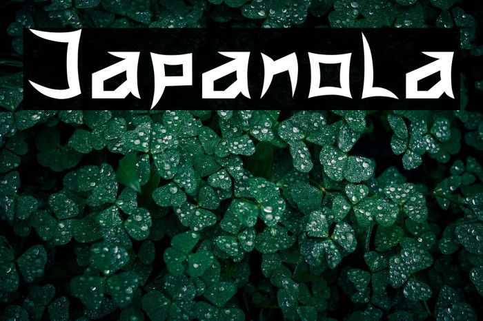 Japanola Example 1