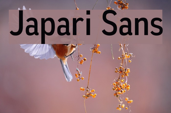 Japari Sans Font examples