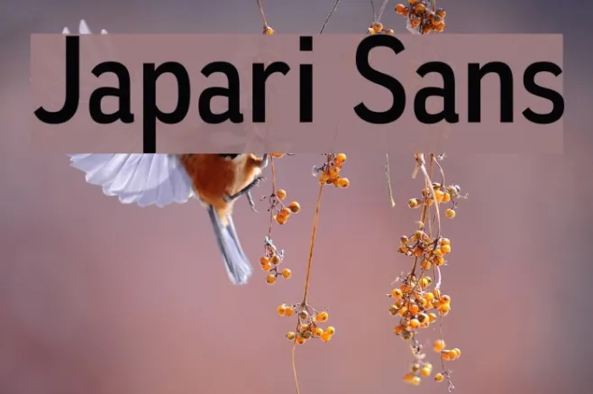 Japari Sans Example 1