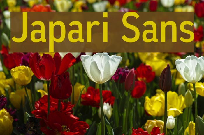 Japari Sans Font examples