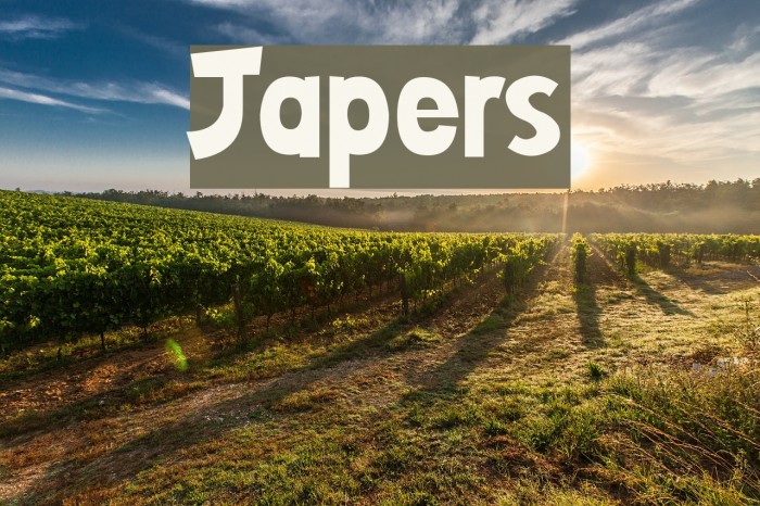 Japers Font examples
