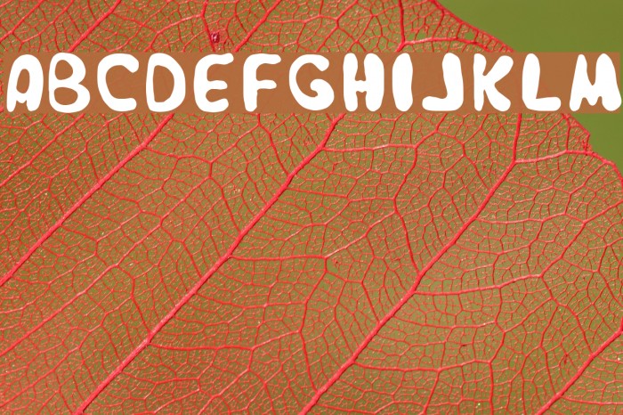 Japestyle Plain Font examples