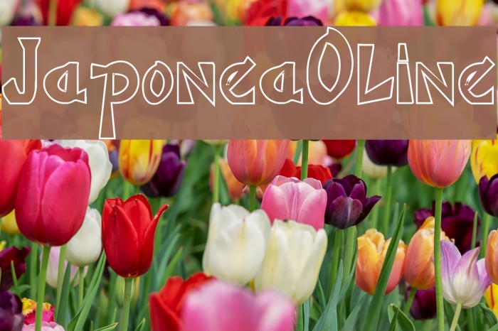 JaponesaOutline Example 2