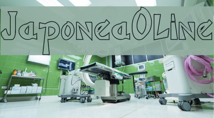 JaponesaOutline Example 3