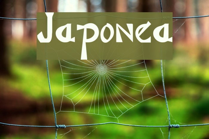 Japonesa Example 2