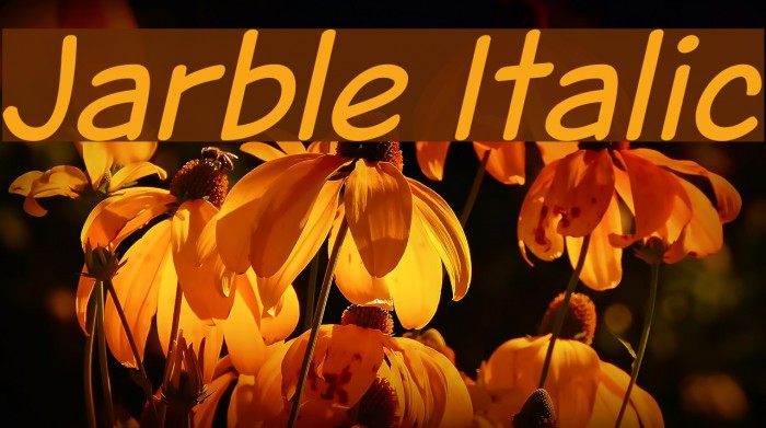 Jarble Italic Font examples