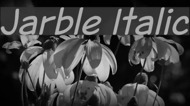 Jarble Italic  examples