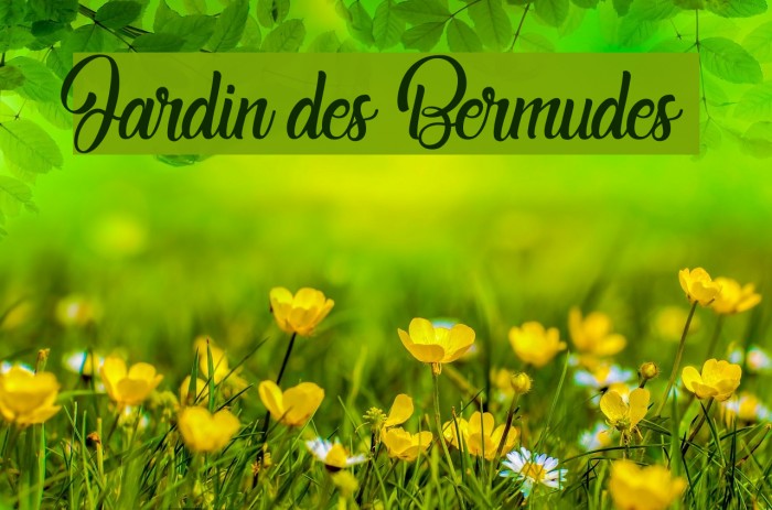 Jardin des Bermudes Example 3