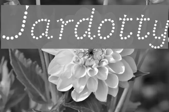 Jardotty Font examples