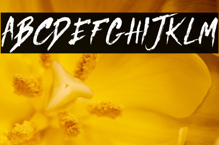 Jared Regular Example 2