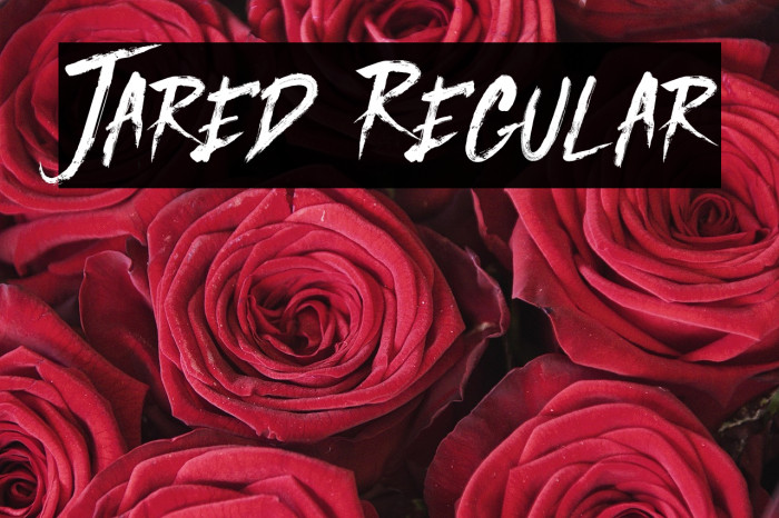 Jared Regular Example 3
