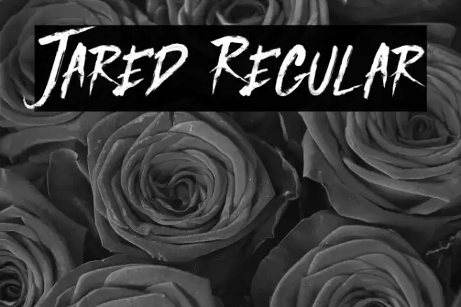 Jared Regular Font examples