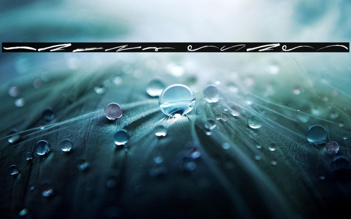 Jared Swash Example 1