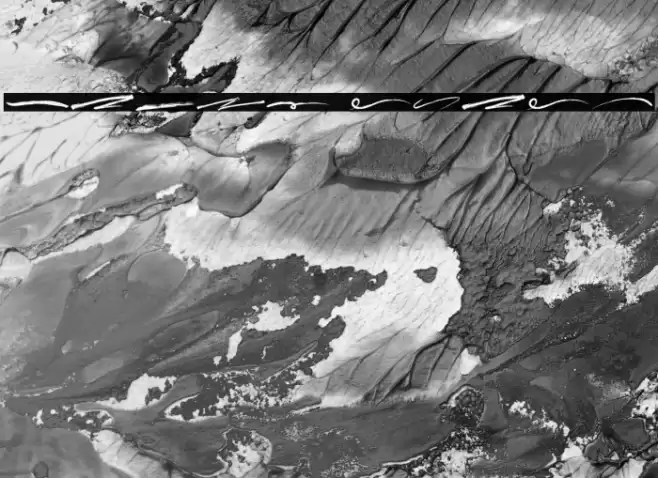 Jared Swash Font examples