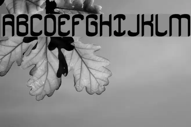 Jargon BRK Font examples