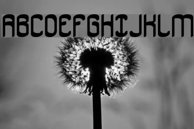 Jargon BRK Font examples