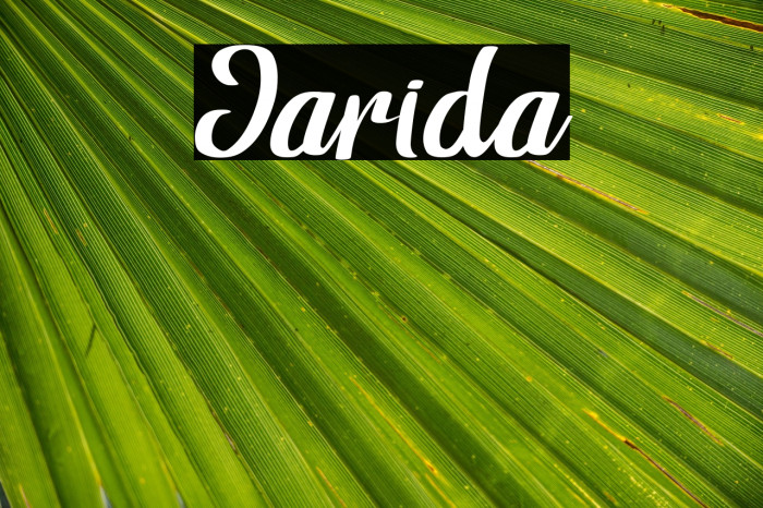 Jarida Example 3