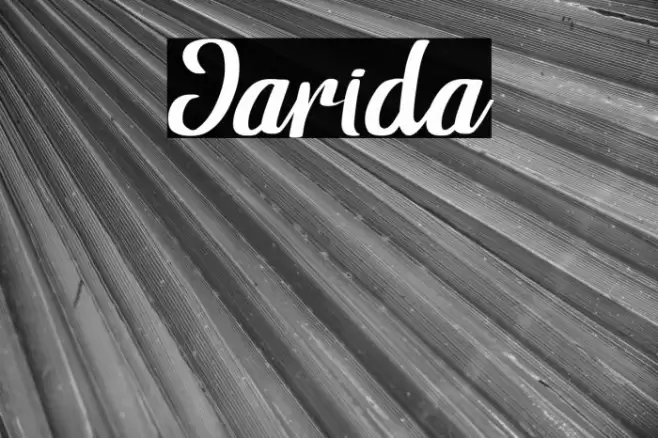 Jarida Font examples