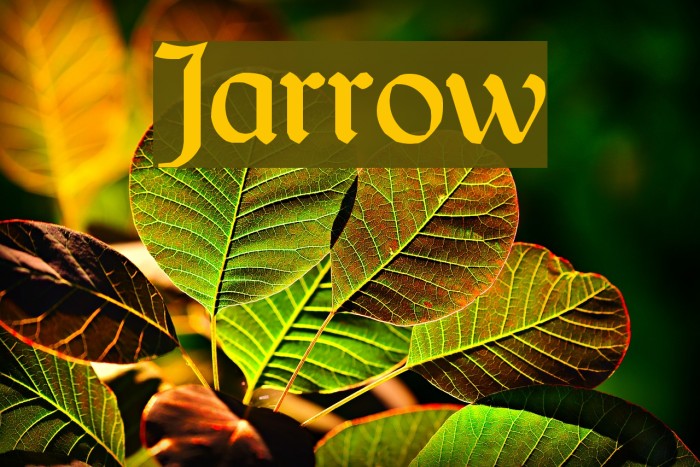 Jarrow Example 3