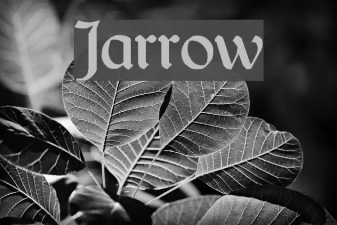 Jarrow Font examples