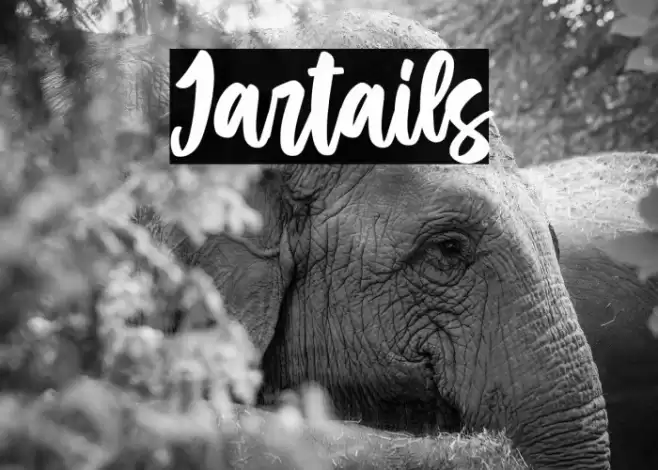 Jartails फ़ॉन्ट examples