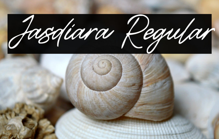 Jasdiara Regular Example 2