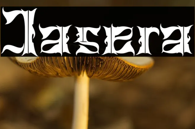 Jasera Example 3