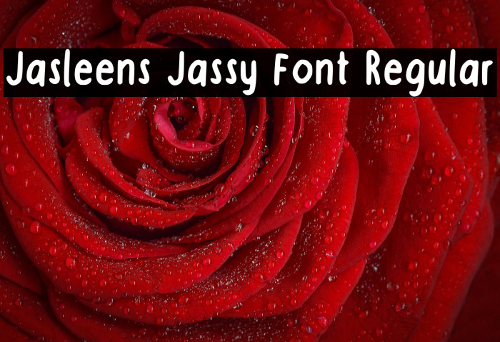Jasleens Jassy Font Regular Example 1