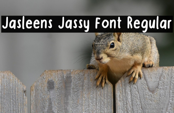 Jasleens Jassy Font Regular Example 2