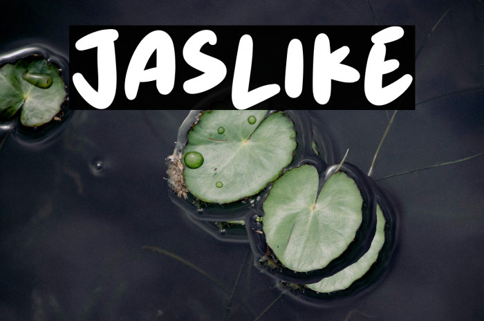 Jaslike Example 2