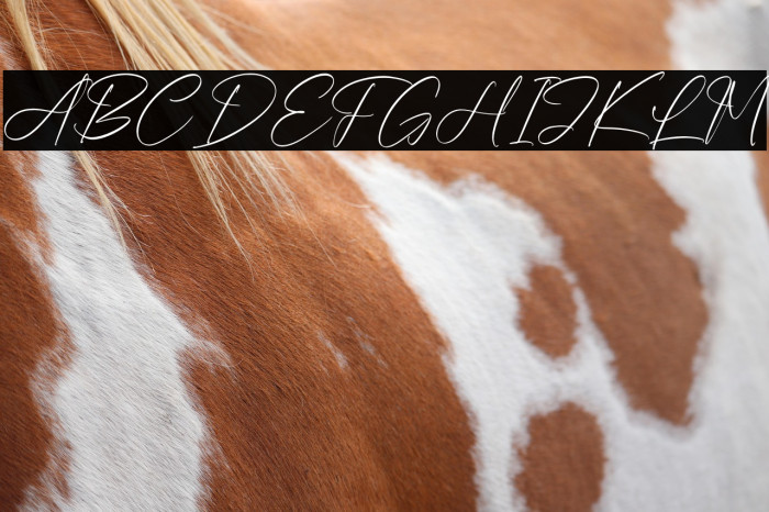 Jasmartha Rosebery Example 1