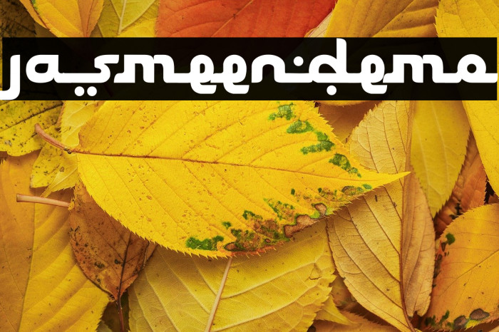 Jasmeen_demo Example 1