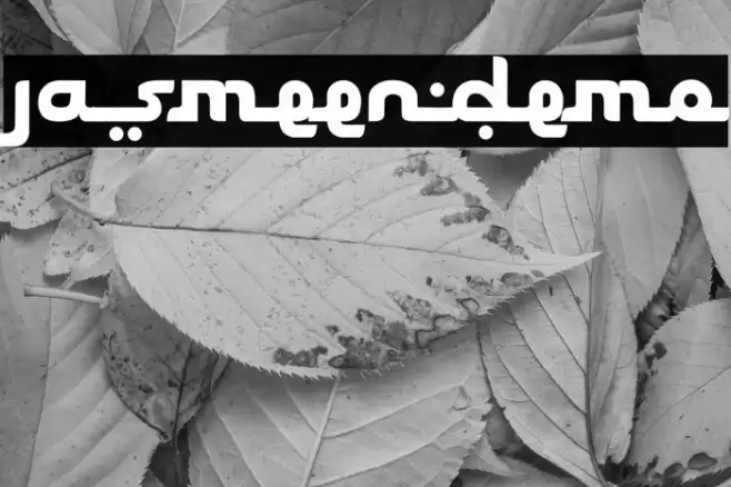 Jasmeen_demo Font examples