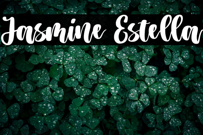 Jasmine Estella Example 1