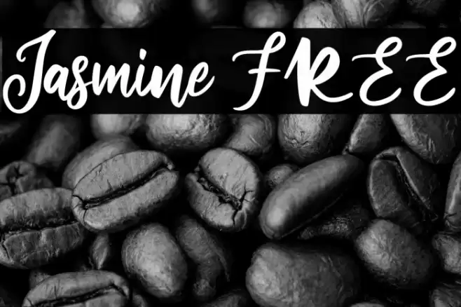 Jasmine FREE Font examples