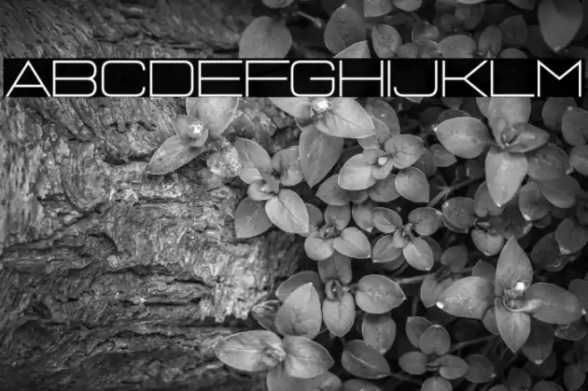 Jasmine Laslo Font examples