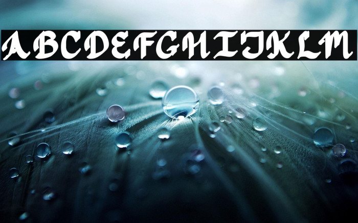 Jasmine Script regular Example 1