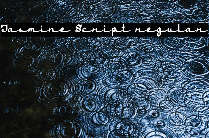 Jasmine Script regular Example 2