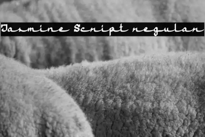 Jasmine Script regular Font examples