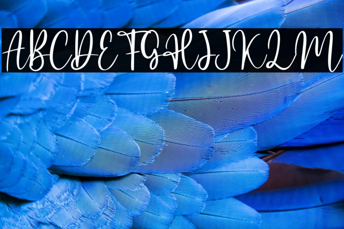 Jasmine Sheffield - Personal Us Example 3