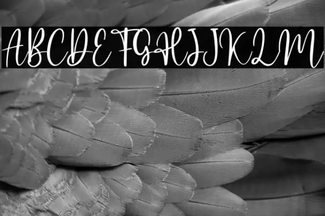 Jasmine Sheffield - Personal Us Font examples