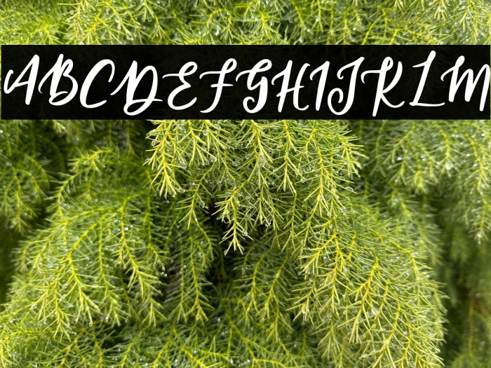 JasmineFREE Example 2