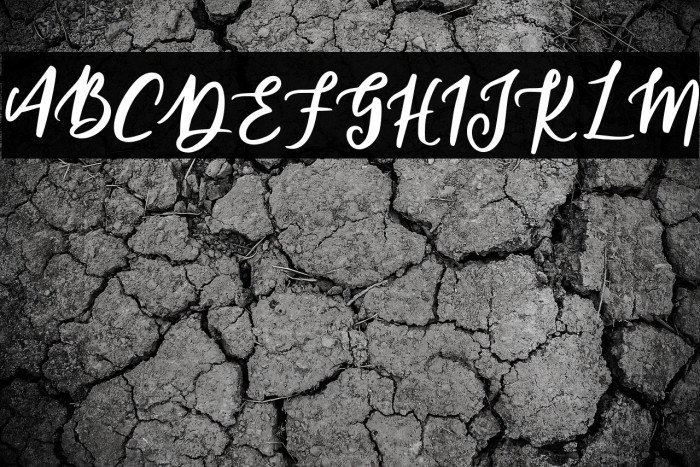 JasmineFREE Example 3