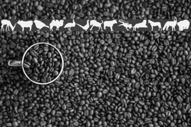 Jasna_P Font examples