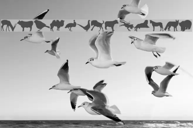 Jasna_P Font examples