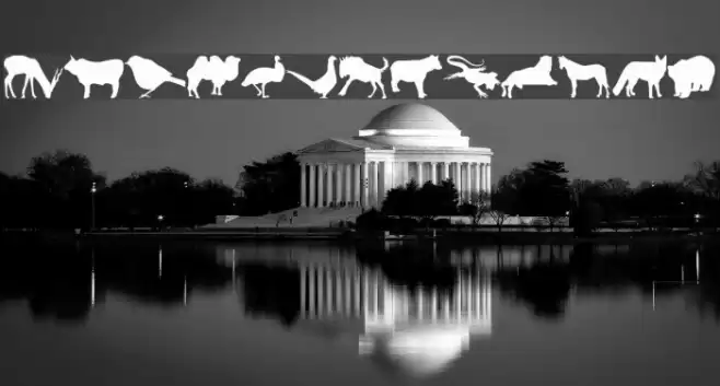 Jasna_P Font examples