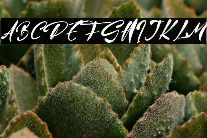 Jason Mary Example 1