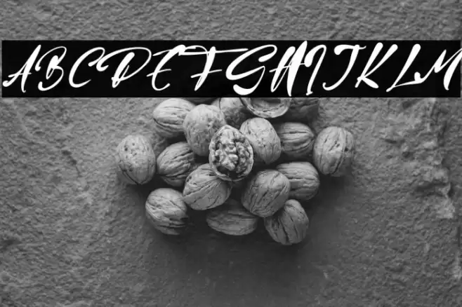 Jason Mary Font examples